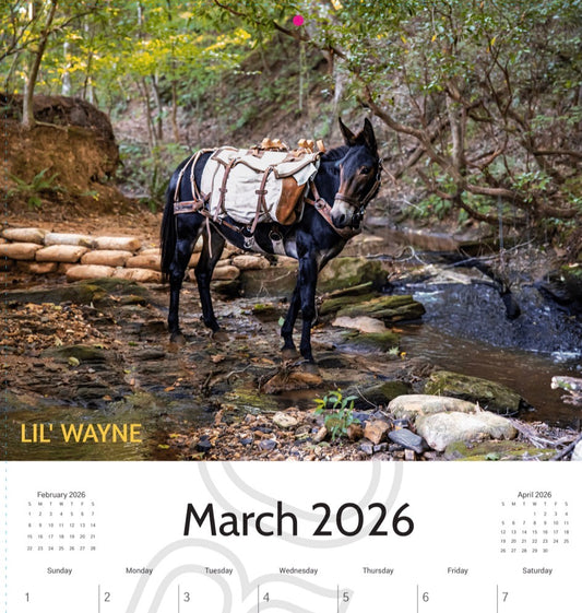 2026 Calendar